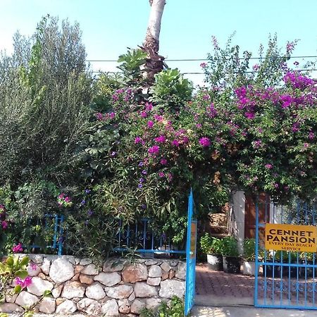 Cennet Pansiyon Hotel Kaleucagız Buitenkant foto