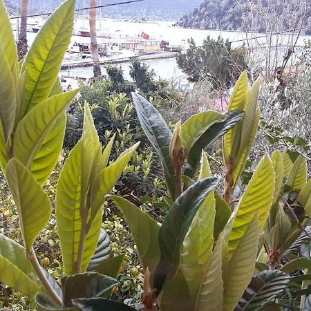 Cennet Pansiyon Hotel Kaleucagız Buitenkant foto