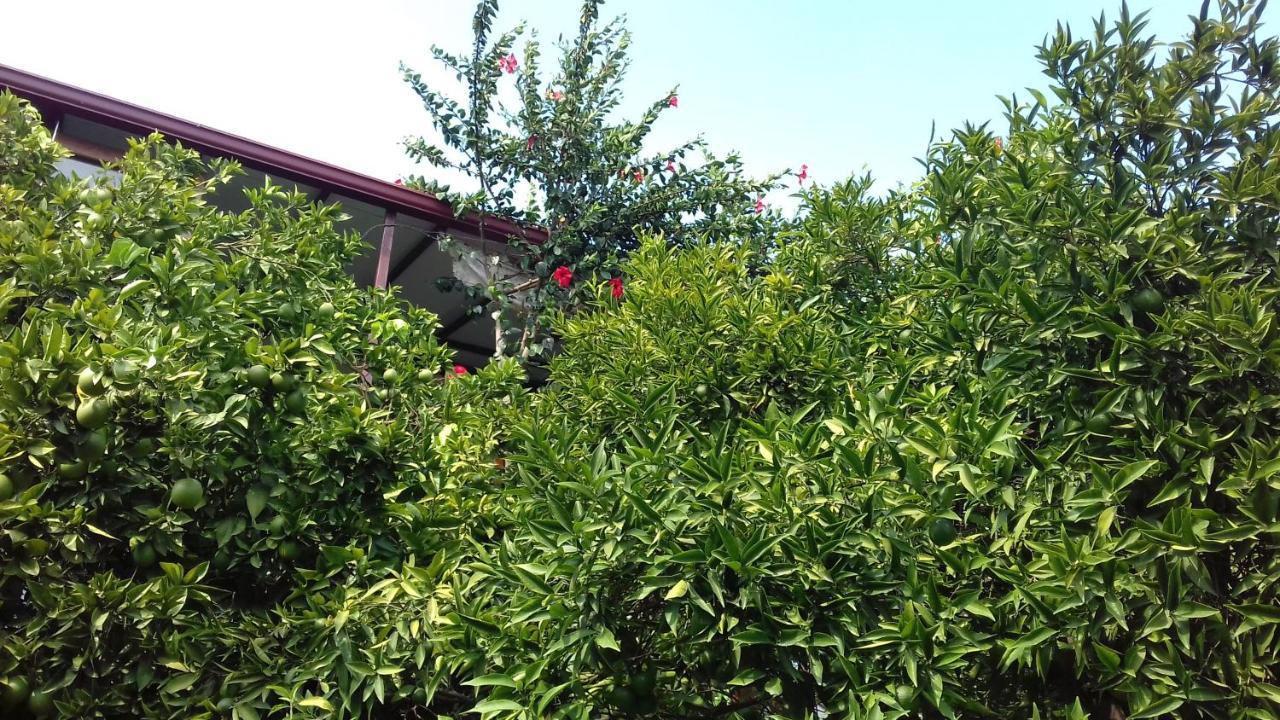 Cennet Pansiyon Hotel Kaleucagız Buitenkant foto