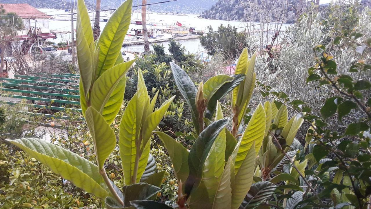 Cennet Pansiyon Hotel Kaleucagız Buitenkant foto